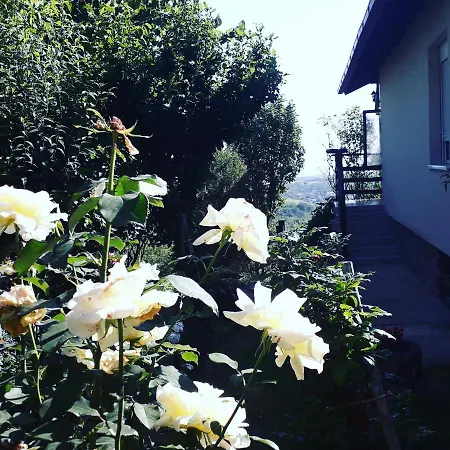 Apartament Noletov Vidikovac *