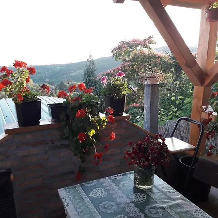Noletov Vidikovac *