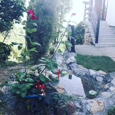 Noletov Vidikovac * Vrdnik