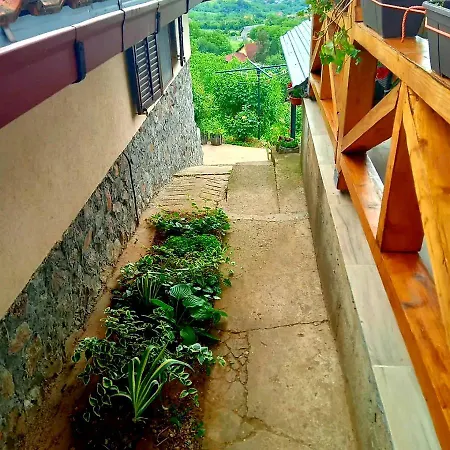 Noletov Vidikovac فردنيك