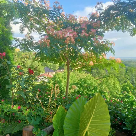 Noletov Vidikovac Apartament Vrdnik