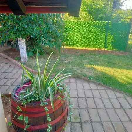 Apartament Noletov Vidikovac Vrdnik