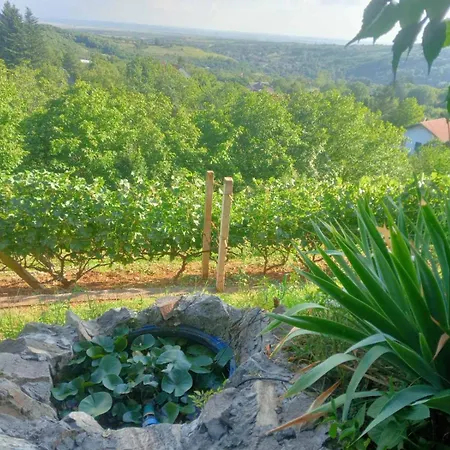 Noletov Vidikovac Apartament