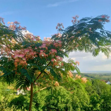 Apartament Noletov Vidikovac