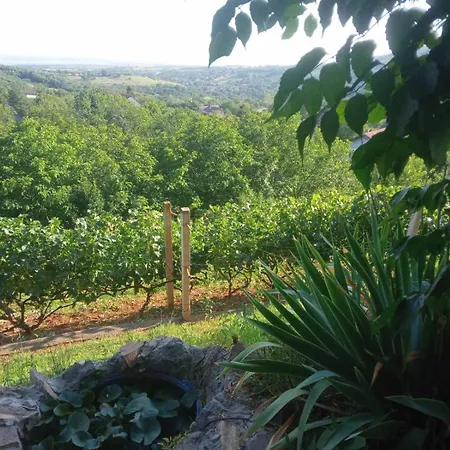 Noletov Vidikovac Apartament Vrdnik