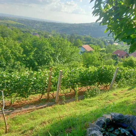 Noletov Vidikovac Apartament *