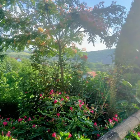 Noletov Vidikovac Vrdnik