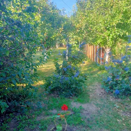 Noletov Vidikovac * ורדניק