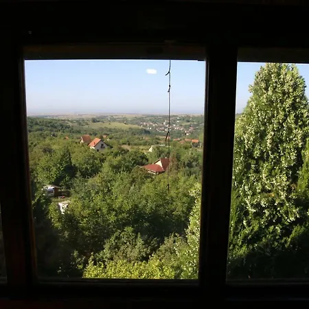 Noletov Vidikovac فردنيك